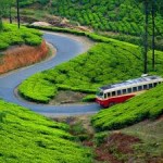 Tour Of Munnar And Thekkady 3N/4D